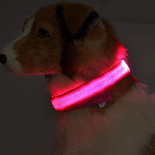 Nylon LED Luminous Night Safety Flashing Glow in the Dark Collar - Body By J'ne