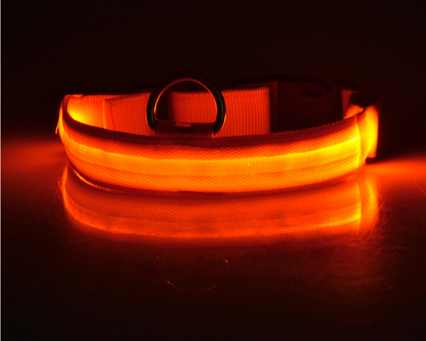 Nylon LED Luminous Night Safety Flashing Glow in the Dark Collar - Body By J'ne