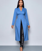 Long Sleeve Blue Color Lapel Neck Top