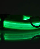 Nylon LED Luminous Night Safety Flashing Glow in the Dark Collar - Body By J'ne