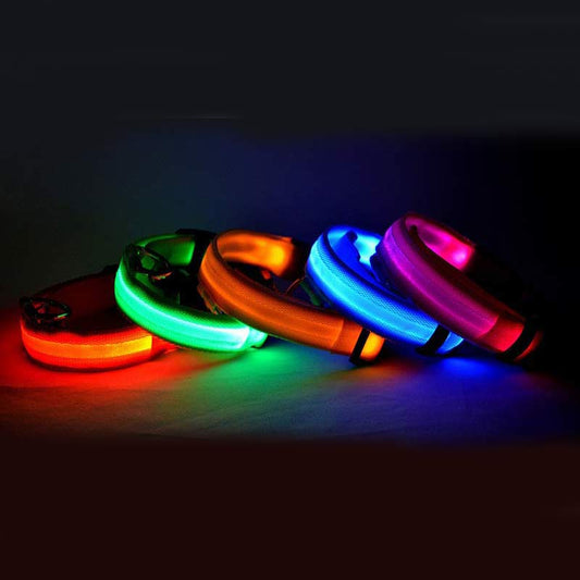 Nylon LED Luminous Night Safety Flashing Glow in the Dark Collar - Body By J'ne
