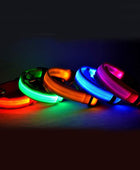 Nylon LED Luminous Night Safety Flashing Glow in the Dark Collar - Body By J'ne