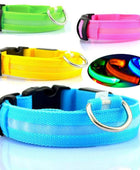 Nylon LED Luminous Night Safety Flashing Glow in the Dark Collar - Body By J'ne