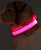 Nylon LED Luminous Night Safety Flashing Glow in the Dark Collar - Body By J'ne