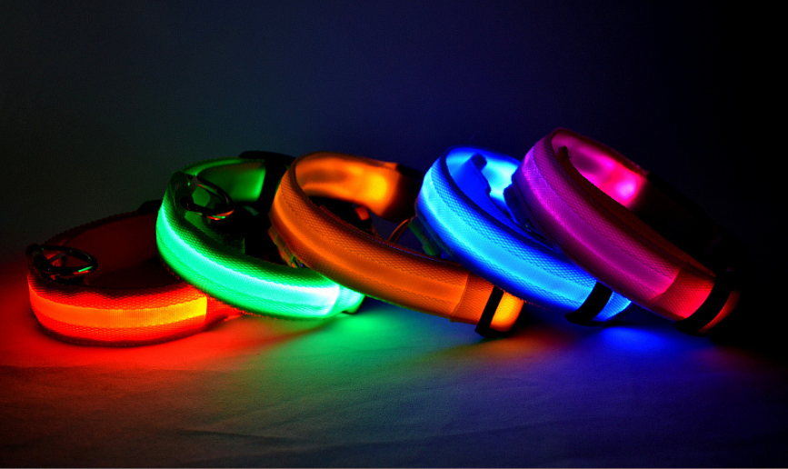 Nylon LED Luminous Night Safety Flashing Glow in the Dark Collar - Body By J'ne