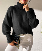 Turtleneck Long Sleeve Sweater