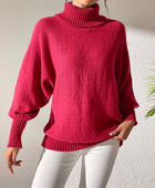 Turtleneck Long Sleeve Sweater