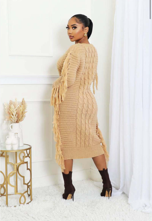 Fringe Sweater Dress - Body By J'ne