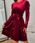 Glitter Round Neck Puff Sleeve Dress