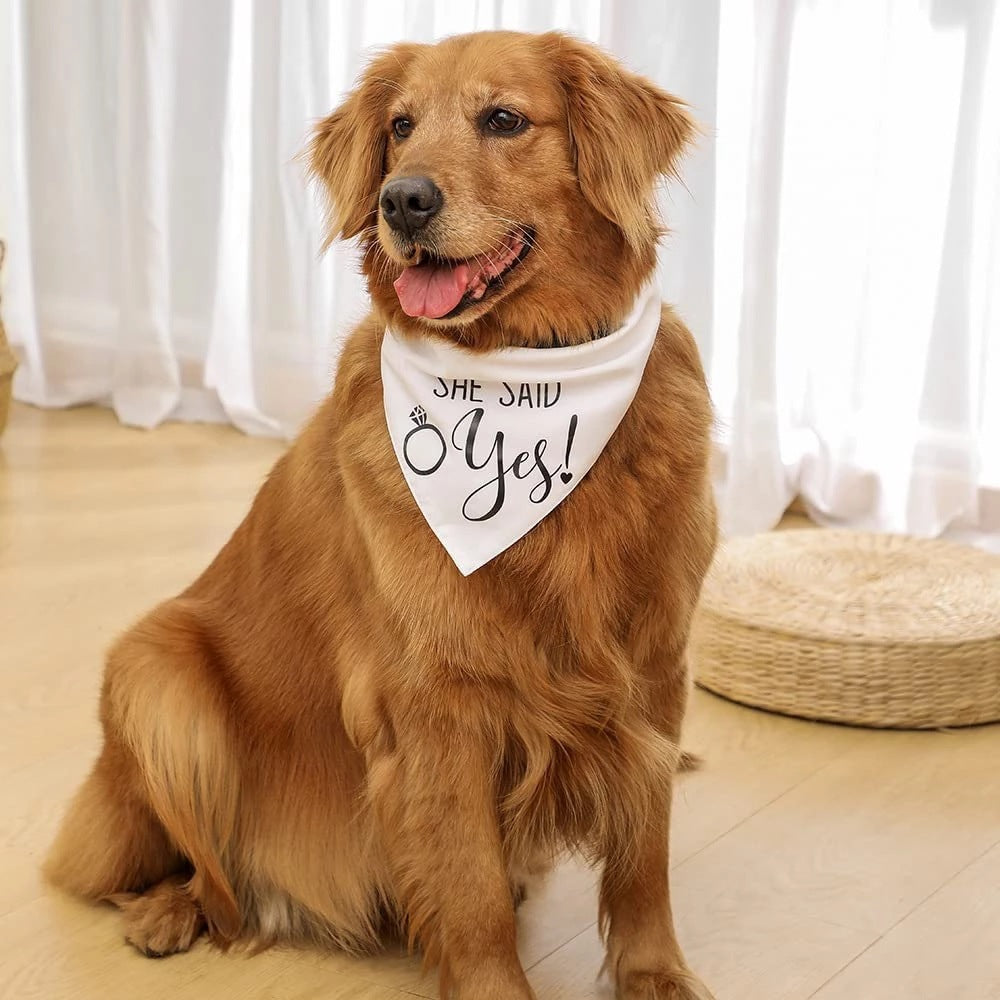 Bandana de boda para perros