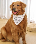 Bandana de boda para perros