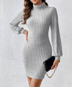 Turtleneck Long Sleeve Mini Dress