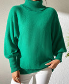 Turtleneck Long Sleeve Sweater