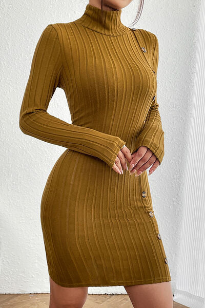 Turtleneck Long Sleeve Mini Dress - Body By J'ne